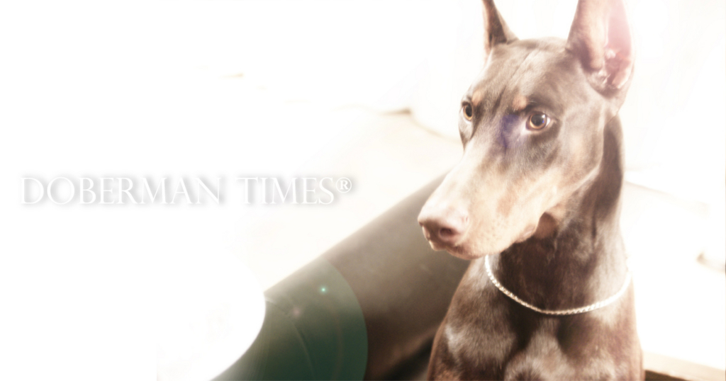 f:id:wwwhite10:20161001111133j:plain f:id:wwwhite10:20161001111133j:plain