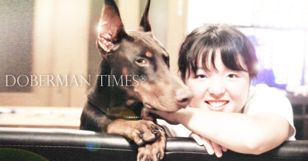 f:id:wwwhite10:20161012151911j:plain f:id:wwwhite10:20161012151911j:plain