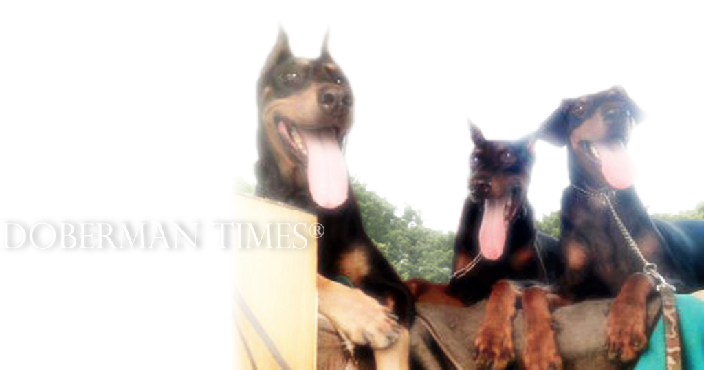 f:id:wwwhite10:20161012155748j:plain f:id:wwwhite10:20161012155748j:plain