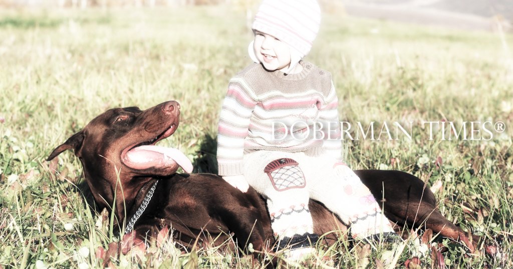 f:id:wwwhite10:20161012175723j:plain f:id:wwwhite10:20161012175723j:plain