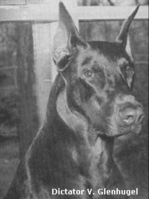 f:id:wwwhite10:20161114001242p:plain f:id:wwwhite10:20161114001242p:plain