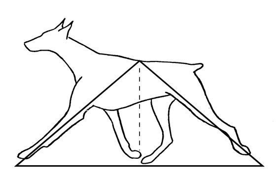 f:id:wwwhite10:20161114001656p:plain f:id:wwwhite10:20161114001656p:plain