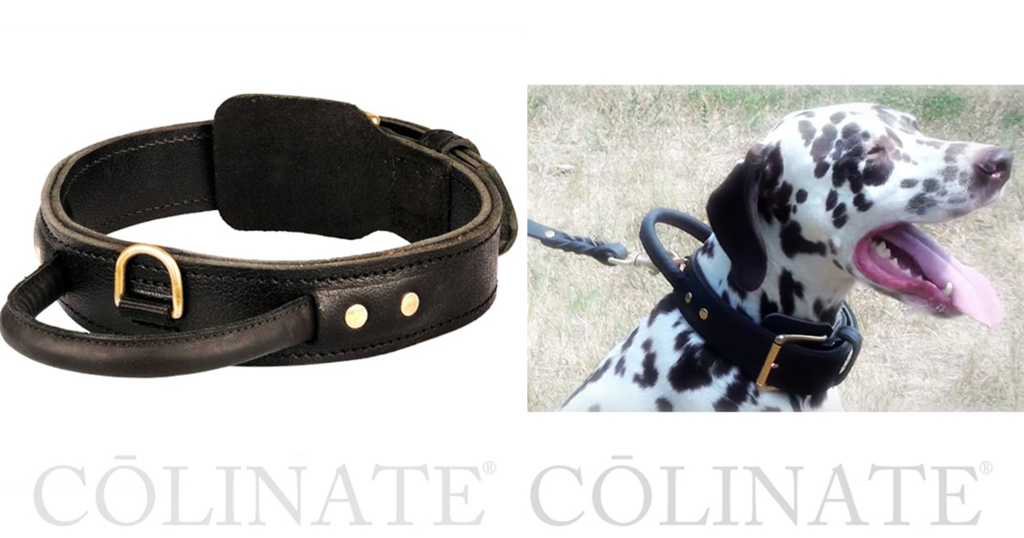 f:id:wwwhite10:20180308123315j:plain f:id:wwwhite10:20180308123315j:plain