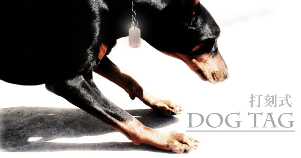 f:id:wwwhite10:20180308132557j:plain f:id:wwwhite10:20180308132557j:plain