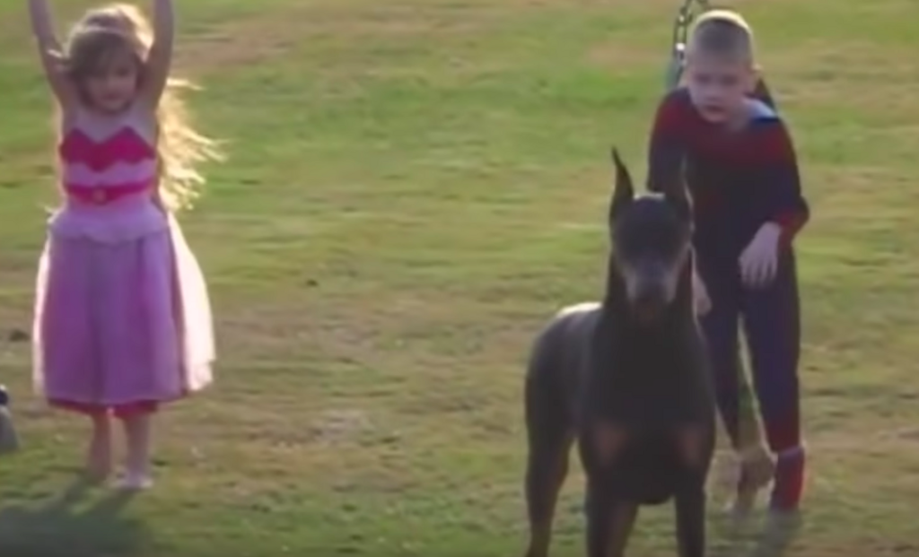 f:id:wwwhite10:20180529121437p:plain f:id:wwwhite10:20180529121437p:plain