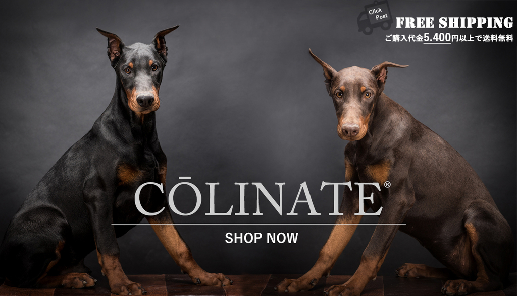 f:id:wwwhite10:20180831112908j:plain f:id:wwwhite10:20180831112908j:plain