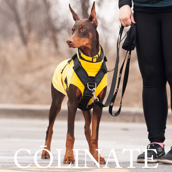 f:id:wwwhite10:20210601113641j:plain