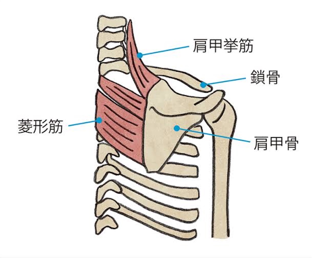f:id:wwwwkun:20210428182412j:image f:id:wwwwkun:20210428182412j:image