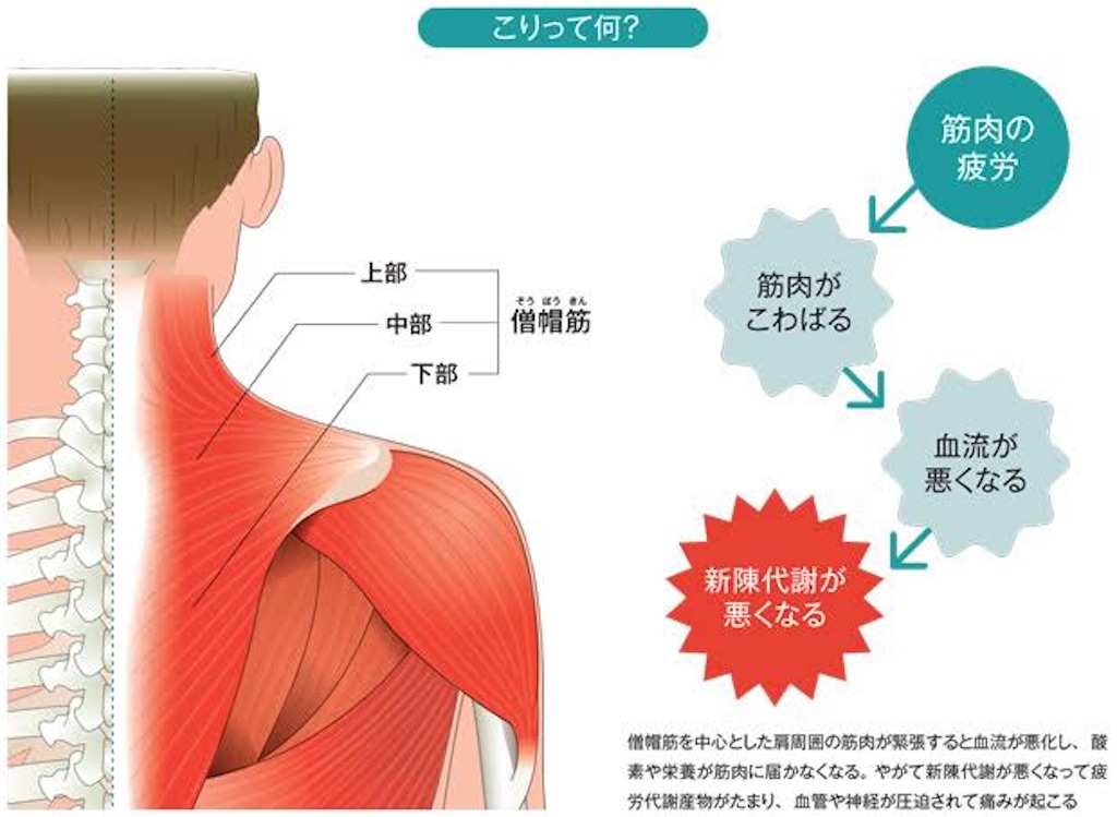 f:id:wwwwkun:20210430173708j:image f:id:wwwwkun:20210430173708j:image