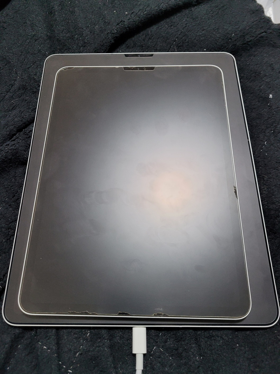 くそでかいアイパッドプロを買った（iPad Pro11インチ売ります） - ROM 