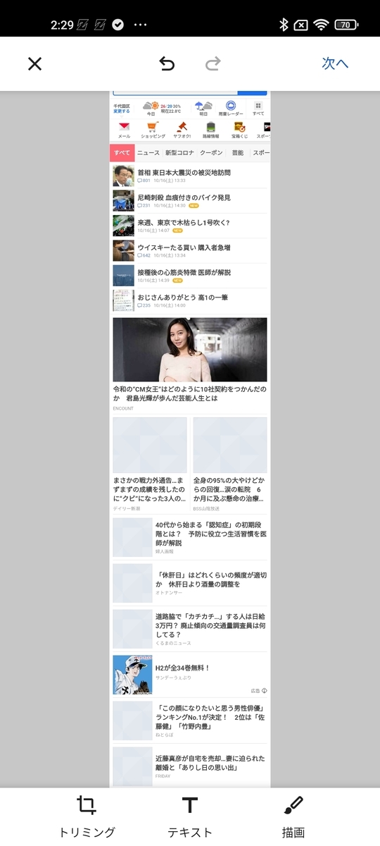 f:id:wwwwwplane:20211016153150j:plain