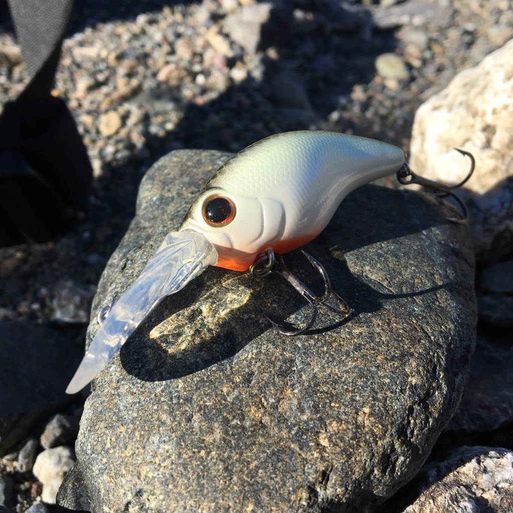 WILDHUNCH】絶対的存在！ワイルドハンチのインプレッション