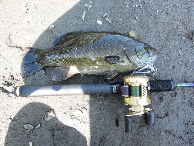 f:id:wwwyoyoyowww:20180523081105j:plain