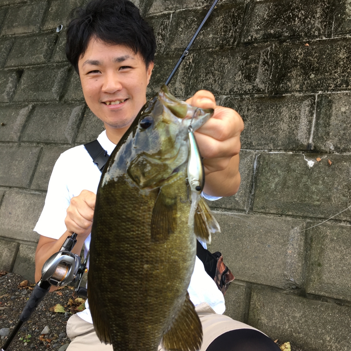 f:id:wwwyoyoyowww:20190415200352j:plain