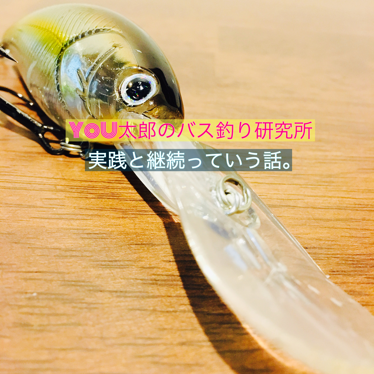 バスフィッシングの経験値は実践と実践と実践からの継続でしか得られないって話 You太郎のバス釣り研究所 バスフィッシングの経験値は実践と実践と実践からの継続でしか得られないって話 You太郎のバス釣り研究所