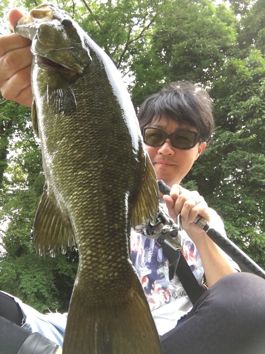 f:id:wwwyoyoyowww:20190716233932j:plain f:id:wwwyoyoyowww:20190716233932j:plain
