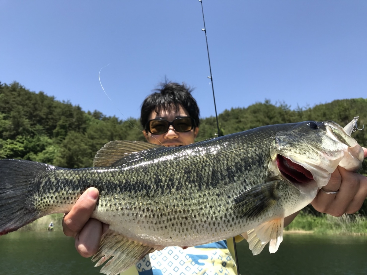 f:id:wwwyoyoyowww:20190725232646j:plain