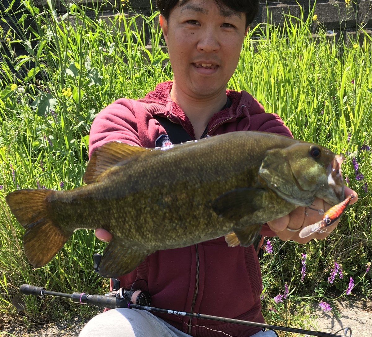 f:id:wwwyoyoyowww:20190725232945j:plain