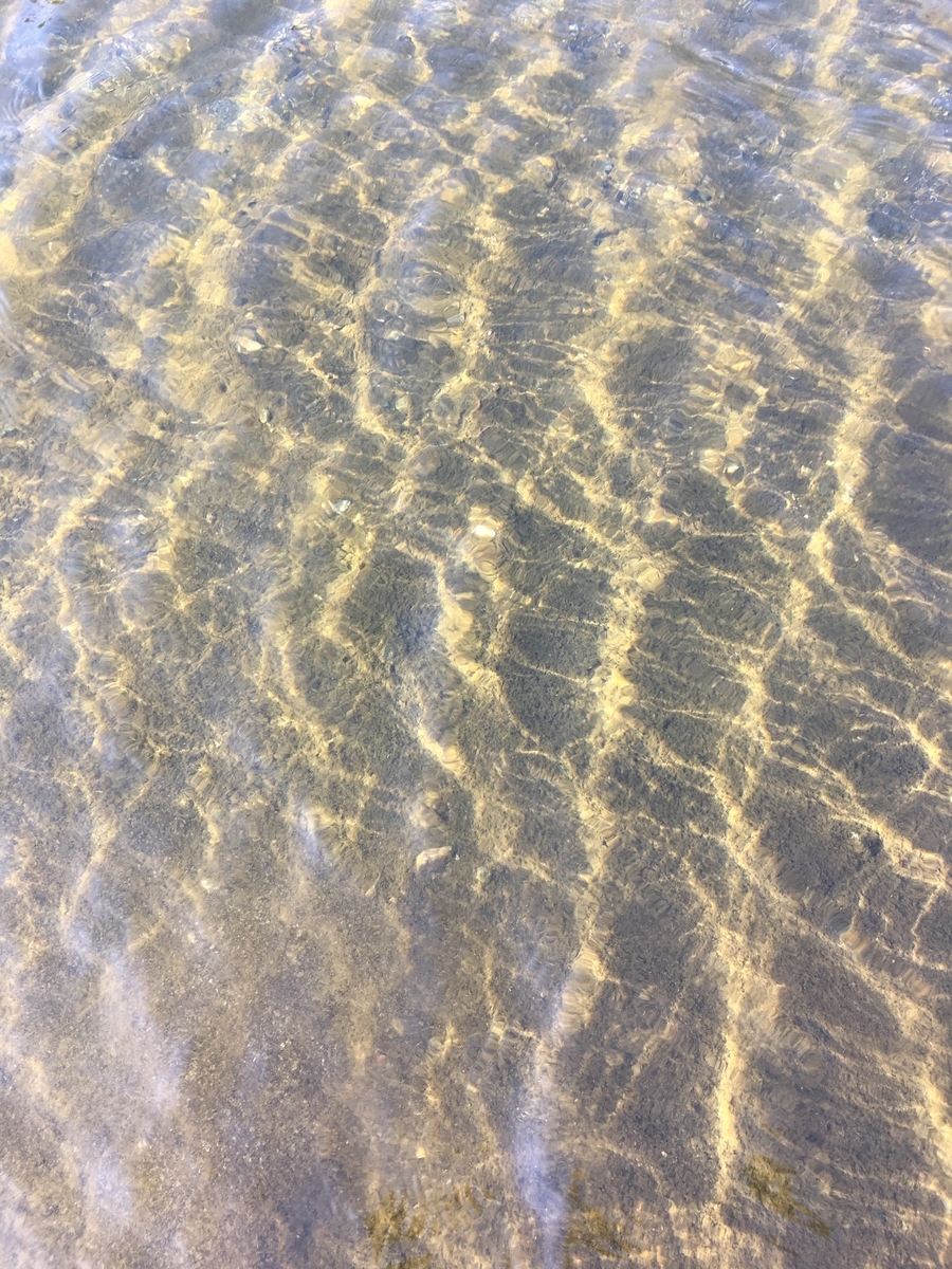 f:id:wwwyoyoyowww:20190726135203j:plain