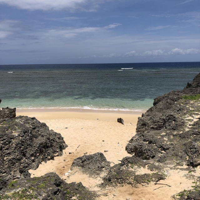 f:id:wyukawa:20180508162808j:image