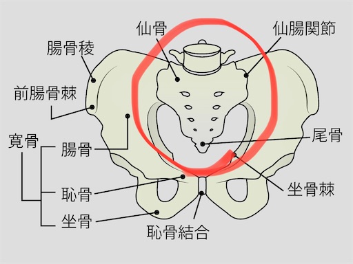 f:id:wyuko:20221112200003j:image f:id:wyuko:20221112200003j:image