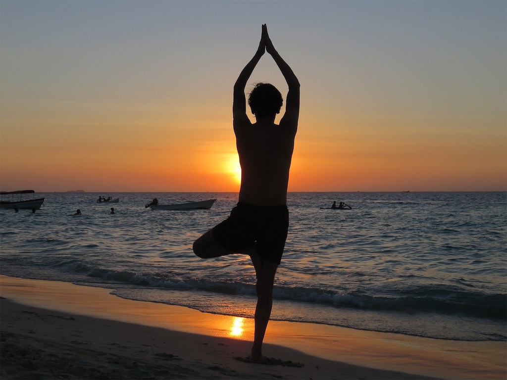 f:id:wyuko:20240803122711j:image f:id:wyuko:20240803122711j:image