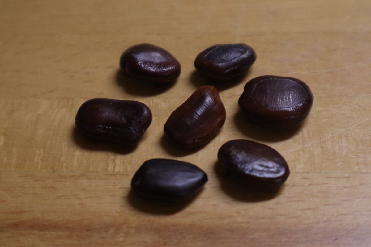 f:id:wyuto7201:20210125235115j:plain