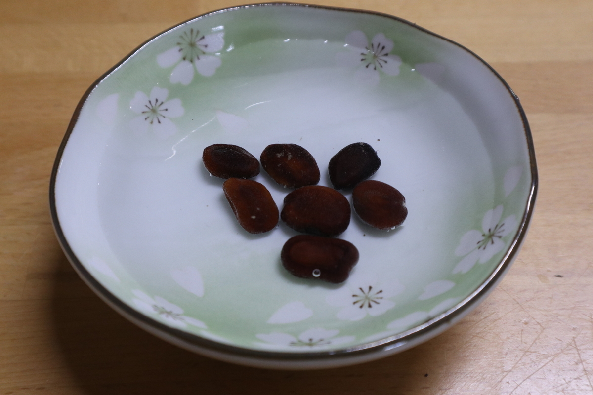 f:id:wyuto7201:20210125235251j:plain