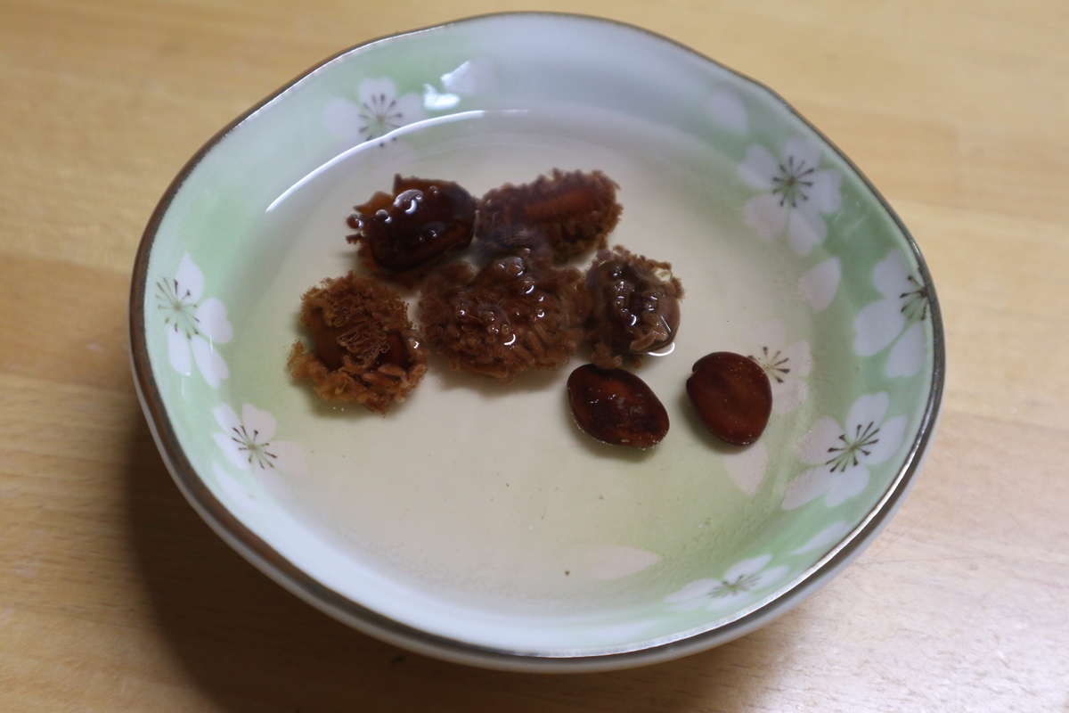 f:id:wyuto7201:20210125235359j:plain
