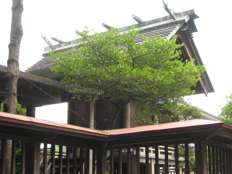 仏子・八坂神社本殿