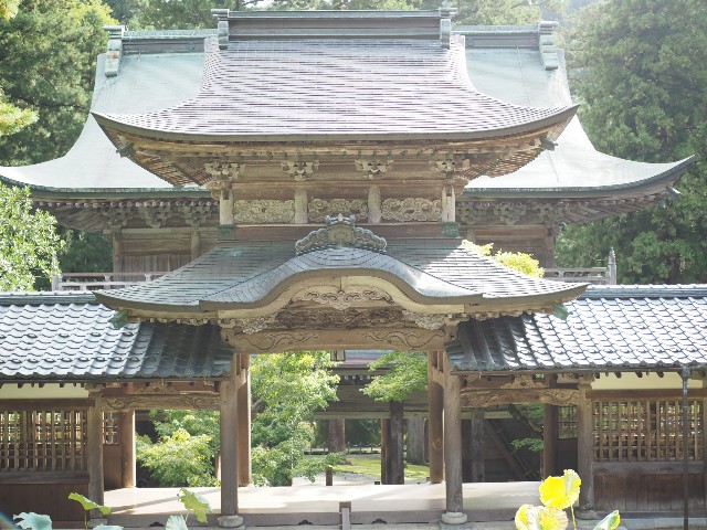 f:id:x-home:20190217221818j:image