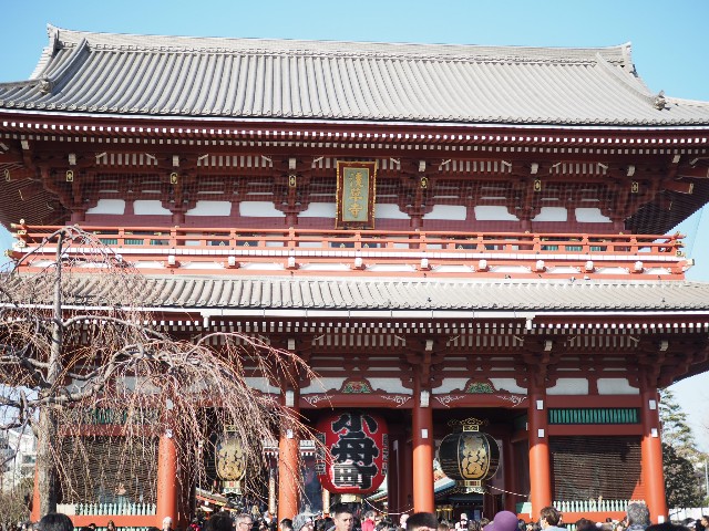 f:id:x-home:20190217233048j:image