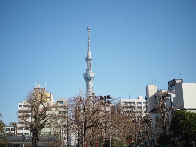 f:id:x-home:20190217233147j:image