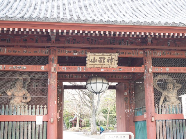 f:id:x-home:20190217234040j:image