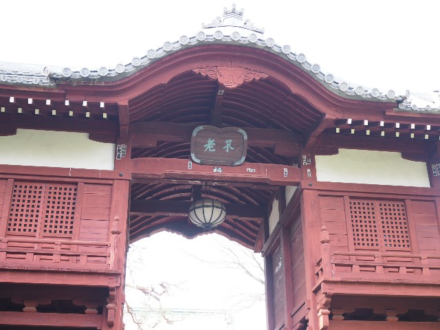 f:id:x-home:20190217234127j:image