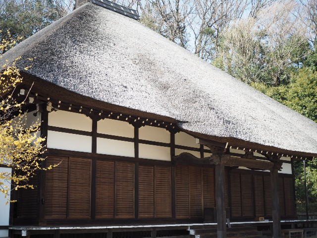 f:id:x-home:20190217235554j:image