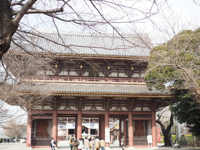 f:id:x-home:20190224173912j:image