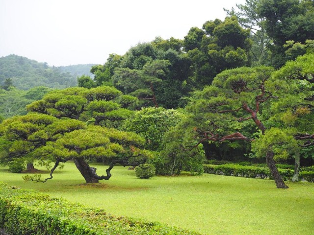 f:id:x-home:20190612195410j:image f:id:x-home:20190612195410j:image