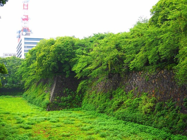 f:id:x-home:20190612215108j:image f:id:x-home:20190612215108j:image