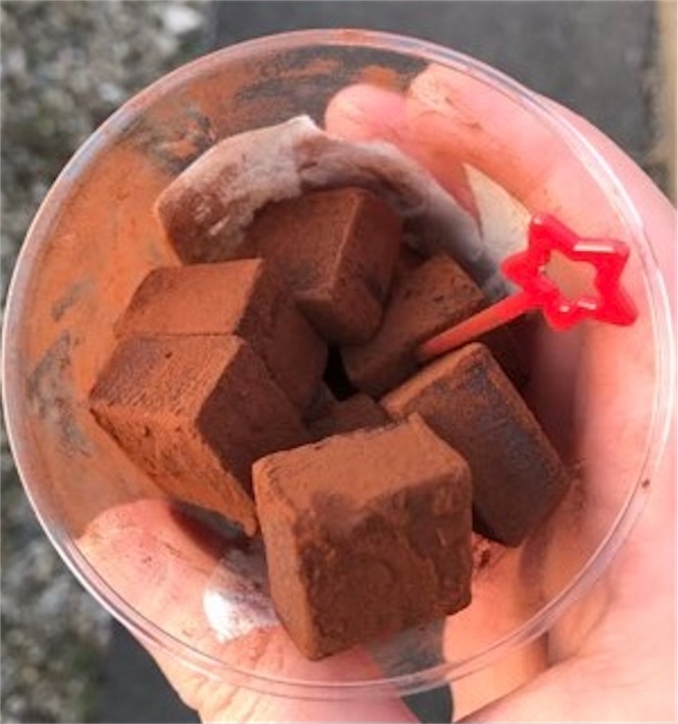 セブンイレブン とろける生チョコ この生チョコ侮れない セブンの新作チョコレートをレビュー 甘党犬のお菓子小屋 たま にホラー 雑記