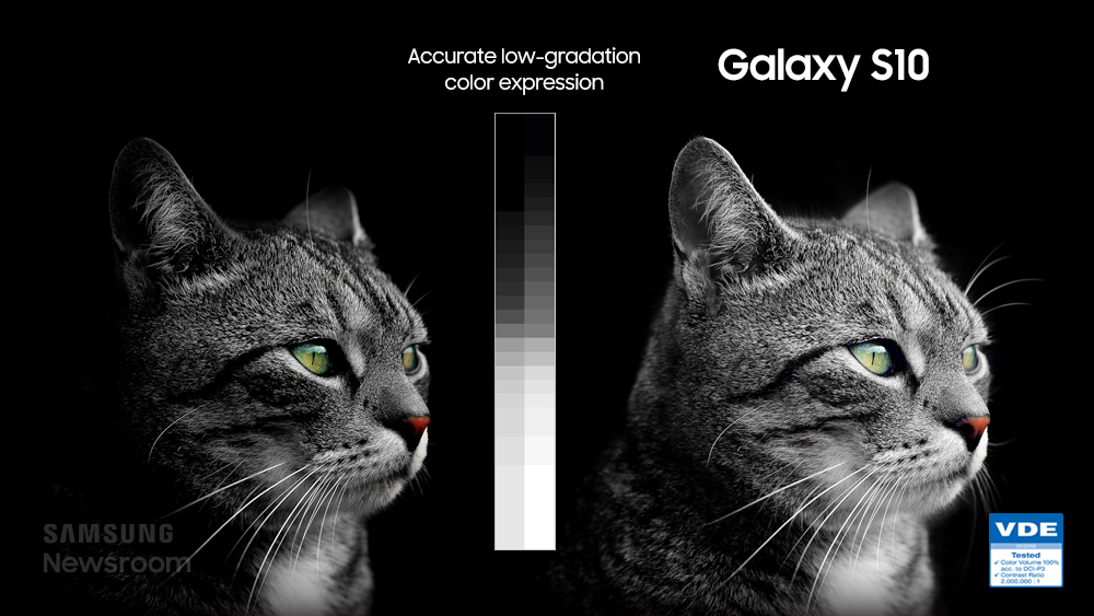 f:id:x67x6fx74x6f:20190912144840j:plain f:id:x67x6fx74x6f:20190912144840j:plain