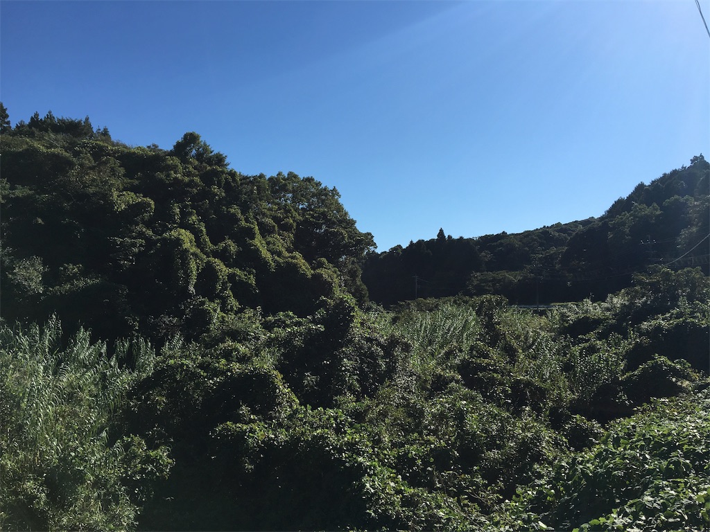 f:id:x68trap030:20181013185201j:image