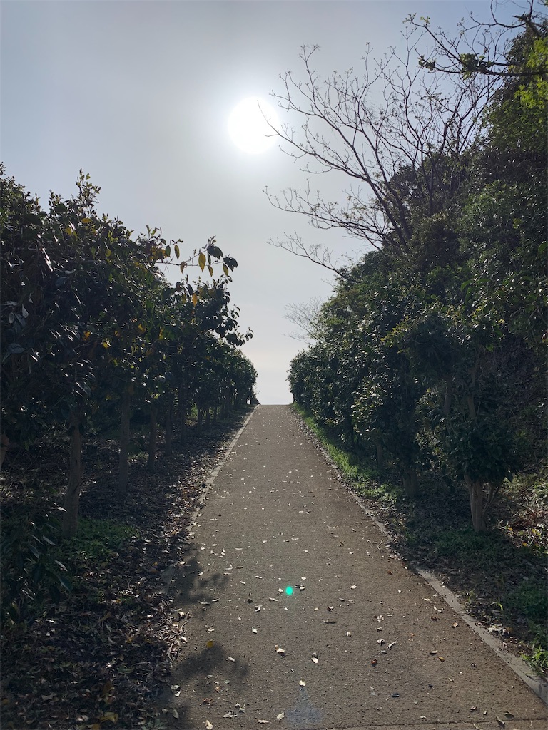 f:id:x68trap030:20190428195850j:image