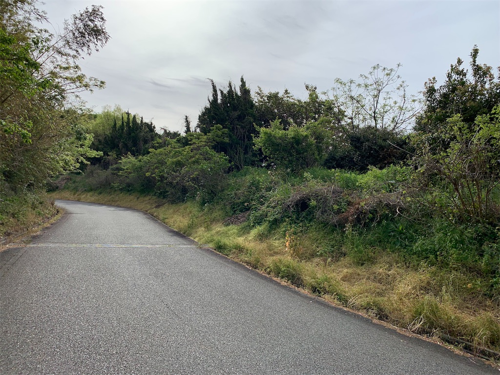 f:id:x68trap030:20190429204020j:image