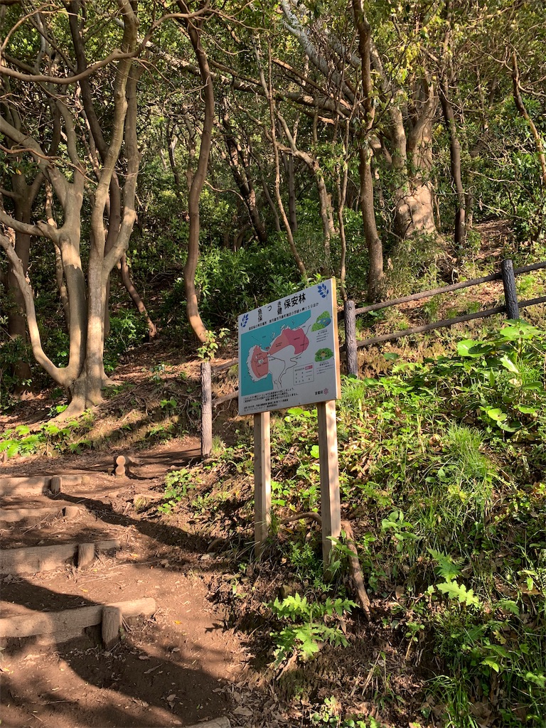 f:id:x68trap030:20190509105123j:image