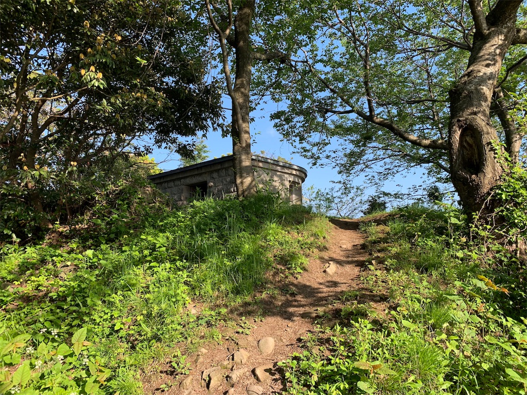 f:id:x68trap030:20190509110008j:image