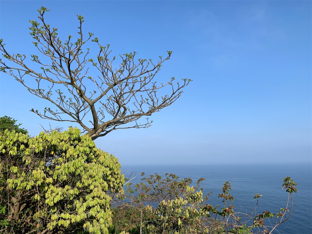 f:id:x68trap030:20190509110147j:image