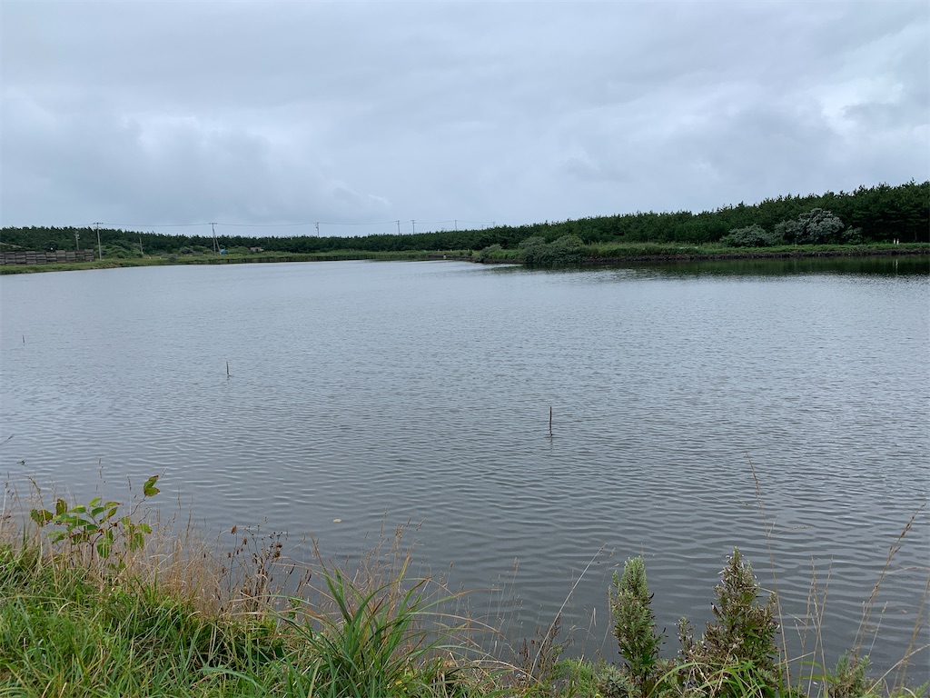 f:id:x68trap030:20200913222329j:plain