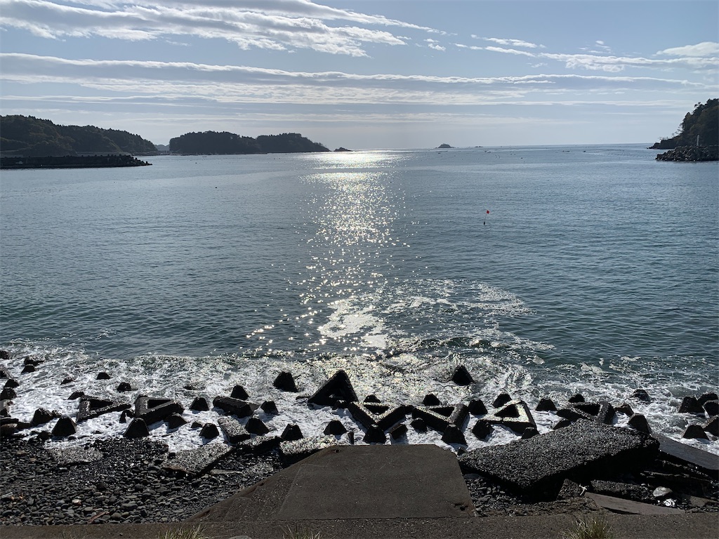 f:id:x68trap030:20201118135156j:plain