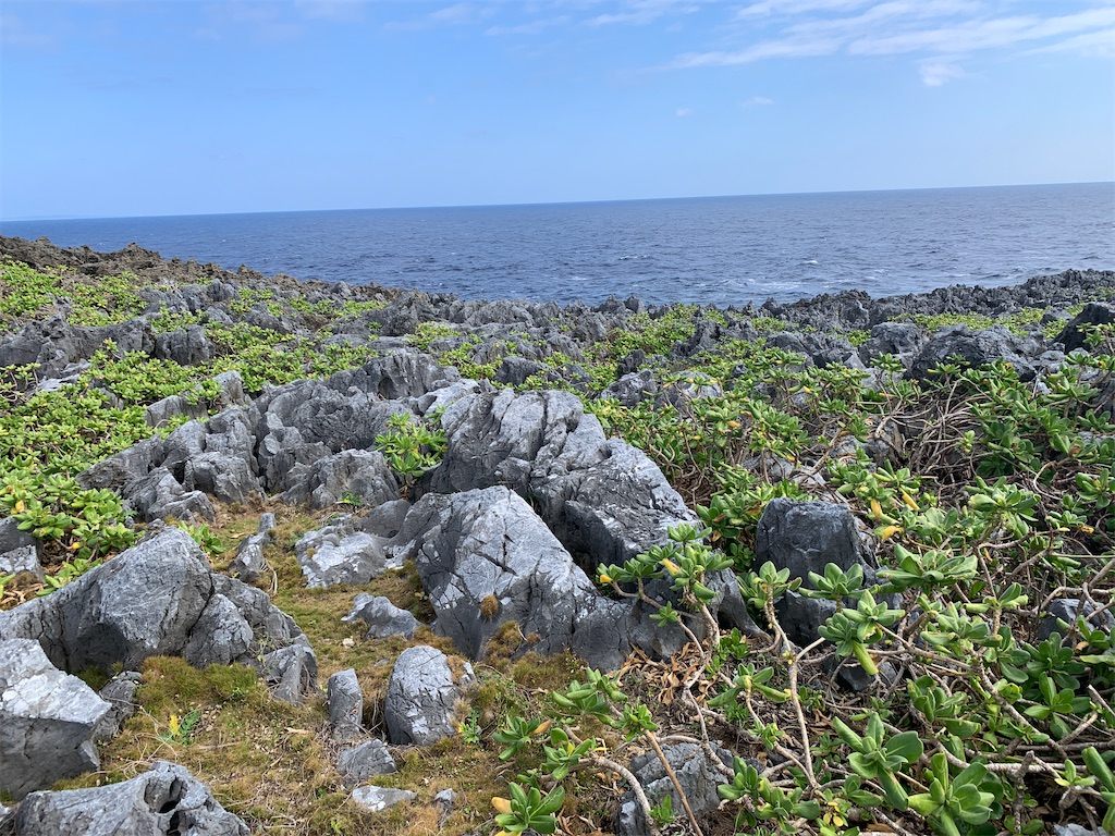 f:id:x68trap030:20210102112321j:plain